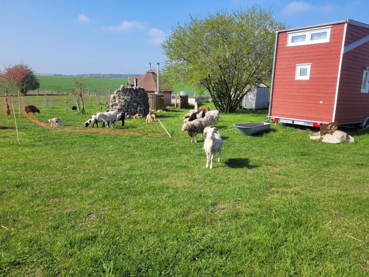 Tiny House Villa Schonbeck  Eksteriør billede