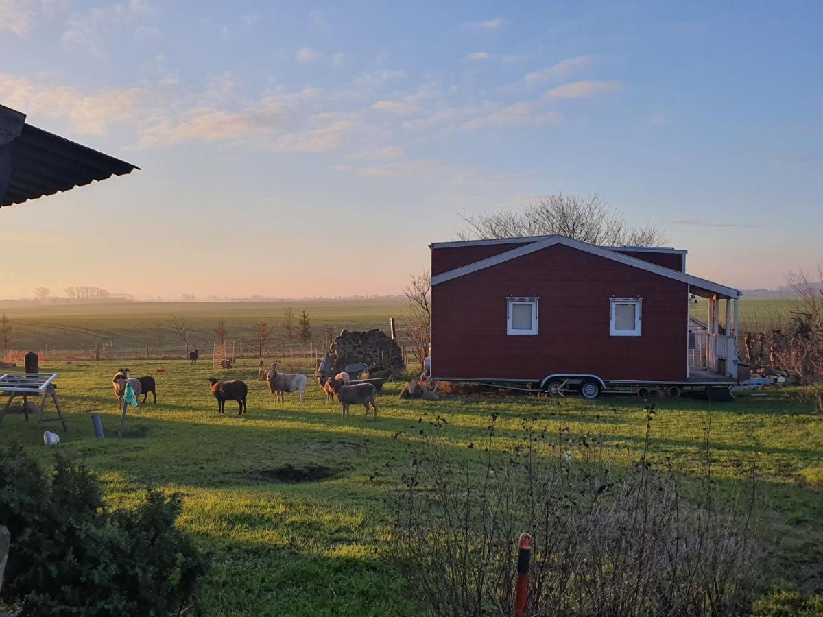 Tiny House Villa Schonbeck  Eksteriør billede